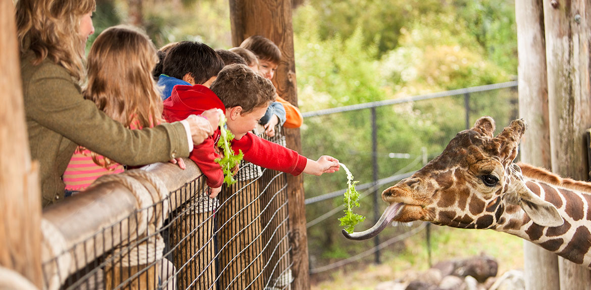 Brookfield Zoo